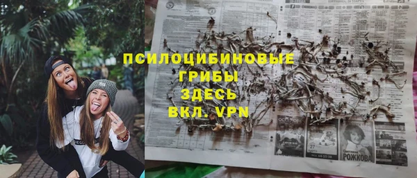 гидра Алексин