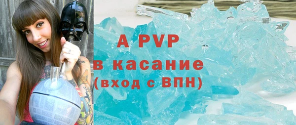 гидра Алексин