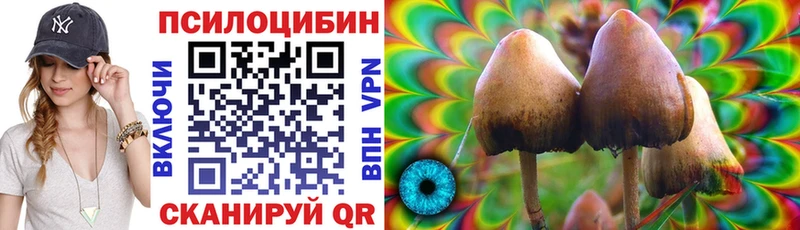 Галлюциногенные грибы Cubensis  купить  сайты  Жигулёвск 